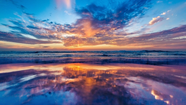 金年会公司：园林绿化垒土