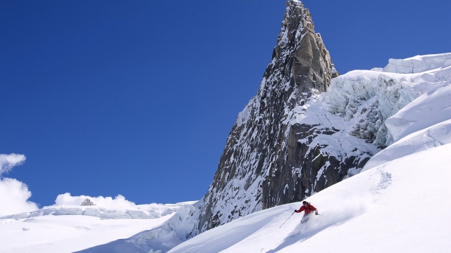 金年会公司：园林绿化剪修知识