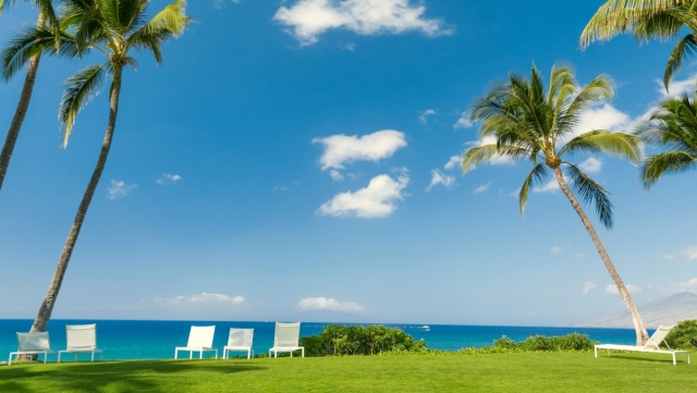 园林绿化草坪寿命