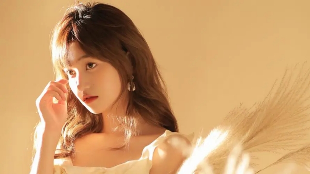 园林绿化气候选择什么类型