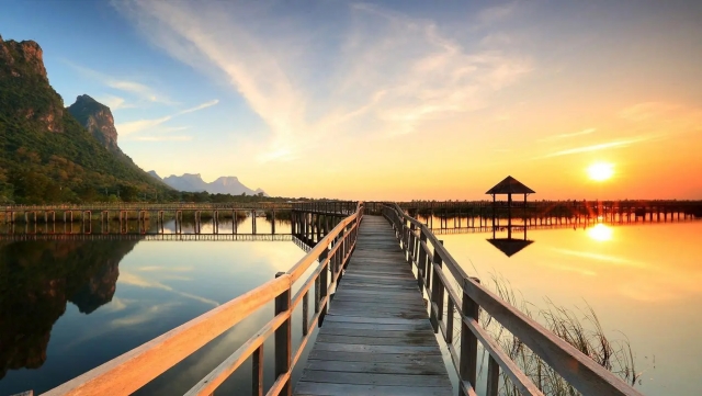 金年会：园林绿化取土