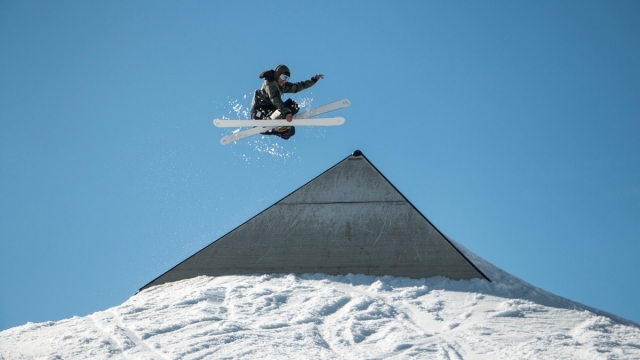 jinnianhui金年会：园林绿化树木喷什么药