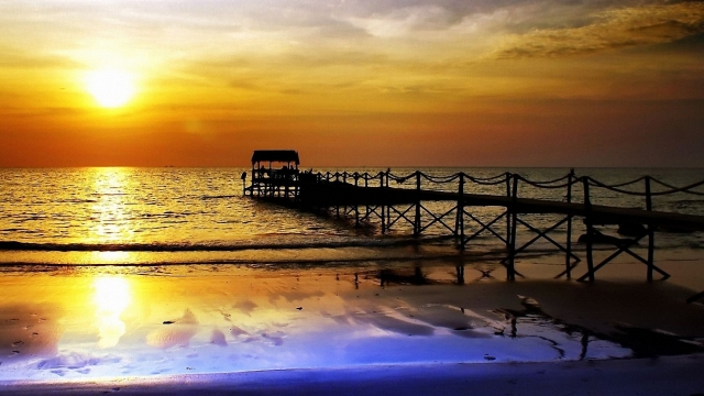 jinnianhui金年会：园林绿化水泥彩色路