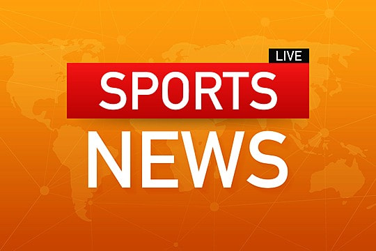 金年会：园林绿化清理树叶