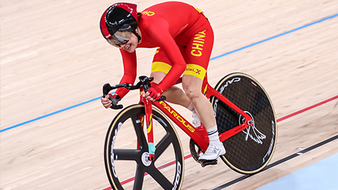 金年会：园林绿化植物灌木类型