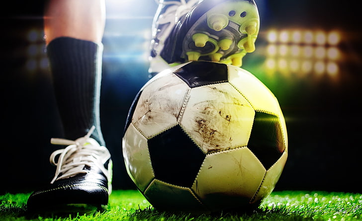 园林绿化用草坪种植吗